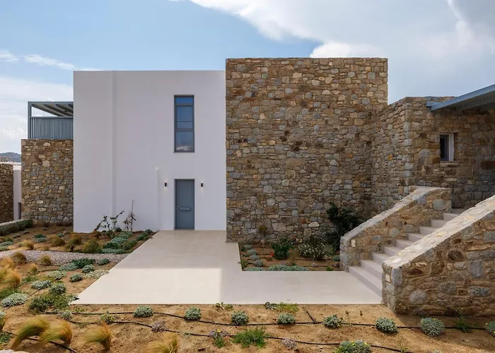 Meraviglia Elia Mykonos Ελιά